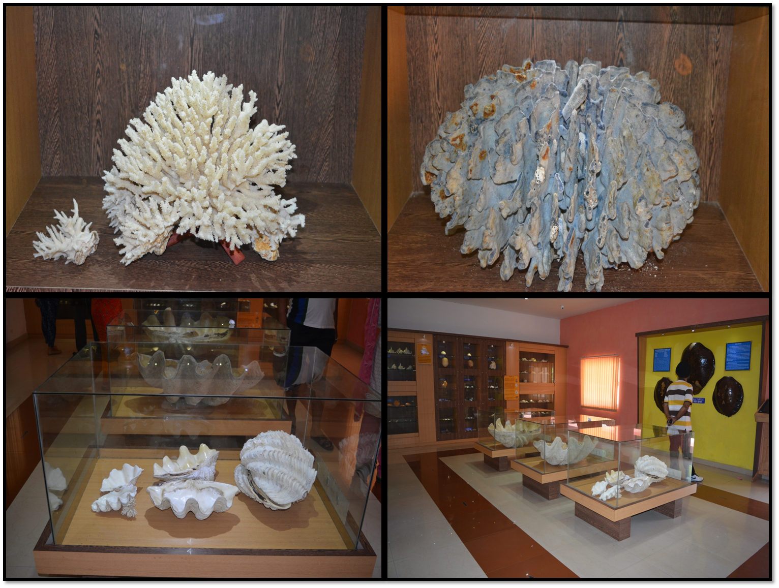 Museum in Port Blair Andaman